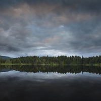Buy canvas prints of Maple lake Vancouver island by Leighton Collins