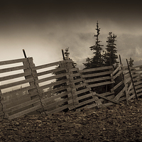 Buy canvas prints of Old fence by Leighton Collins