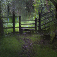 Buy canvas prints of  Woodland path and stile by Leighton Collins