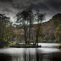 Buy canvas prints of  Upper lake Penllergaer woods by Leighton Collins