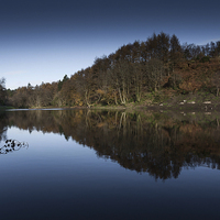 Buy canvas prints of  Penllergaer woods top lake by Leighton Collins