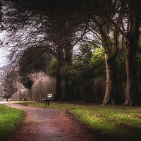 Buy canvas prints of  Ravenhill park by Leighton Collins