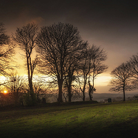 Buy canvas prints of  Sunset at Ravenhill park by Leighton Collins