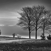 Buy canvas prints of  A bench in Ravenhill park by Leighton Collins