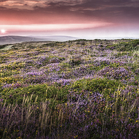Buy canvas prints of  Gower sunset at Cefn Bryn by Leighton Collins