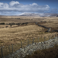 Buy canvas prints of  Brecon dry stone wall and fields by Leighton Collins