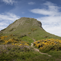 Buy canvas prints of  The Inner head of Worm's head by Leighton Collins
