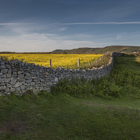 Buy canvas prints of  Dry stone wall by Leighton Collins