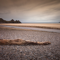 Buy canvas prints of  Driftwood at Three Cliffs Bay by Leighton Collins