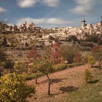 Buy canvas prints of  Valldemossa by Leighton Collins