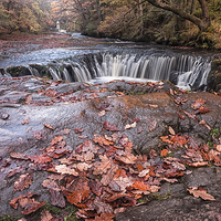 Buy canvas prints of  The horseshoe falls Sgwd y Bedol South Wales by Leighton Collins