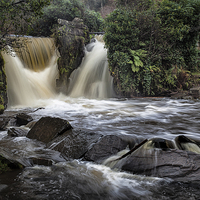 Buy canvas prints of  Swollen Penllergare Waterfall by Leighton Collins