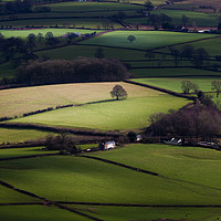Buy canvas prints of Green green grass of Wales by Leighton Collins