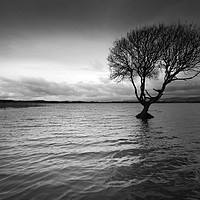 Buy canvas prints of Kenfig Pool by Leighton Collins