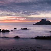 Buy canvas prints of Good morning Mumbles by Leighton Collins