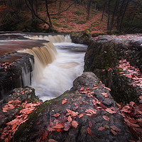 Buy canvas prints of Autumn at Horseshoe falls by Leighton Collins