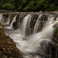 Buy canvas prints of The gully at Panwar Waterfalls by Leighton Collins