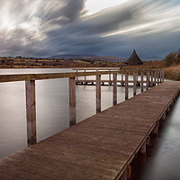 Buy canvas prints of Llangorse Lake boardwalk by Leighton Collins