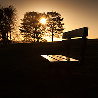 Buy canvas prints of Sunset seat by Leighton Collins