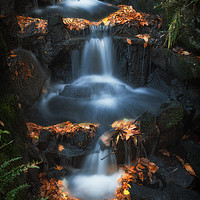 Buy canvas prints of Clyne Park waterfalls by Leighton Collins