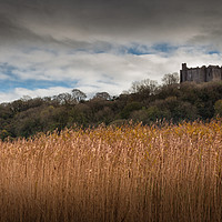 Buy canvas prints of Weobley Castle North Gower by Leighton Collins
