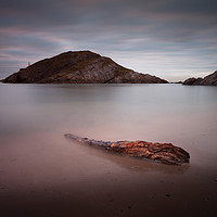 Buy canvas prints of Driftwood on Mumbles beach by Leighton Collins