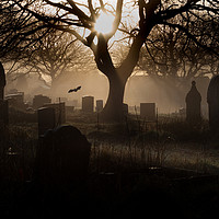 Buy canvas prints of Spooky graveyard by Leighton Collins