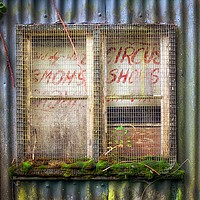 Buy canvas prints of Old boarded up window by Leighton Collins
