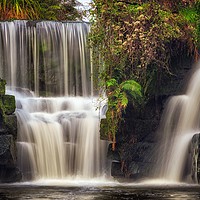 Buy canvas prints of Penllergare waterfall by Leighton Collins