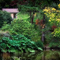 Buy canvas prints of Clyne Park gardens by Leighton Collins