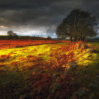 Buy canvas prints of Approaching storm over Brecon, South Wales UK by Leighton Collins