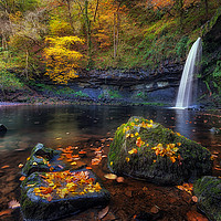 Buy canvas prints of Autumn leaves at Sgwd Gwladus by Leighton Collins