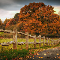 Buy canvas prints of Rustic wooden fence by Leighton Collins