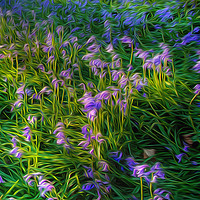 Buy canvas prints of British Bluebells using an oil painting filter by Leighton Collins