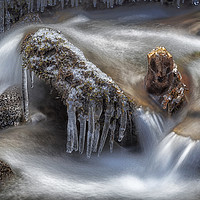 Buy canvas prints of Icicles in a stream by Leighton Collins