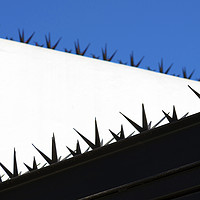 Buy canvas prints of Anti climb spikes by Leighton Collins