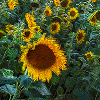 Buy canvas prints of Van Gogh style Sunflowers by Leighton Collins