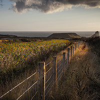 Buy canvas prints of Rhossili fields by Leighton Collins
