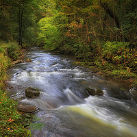 Buy canvas prints of The Upper Clydach River in Pontardawe, Swansea by Leighton Collins