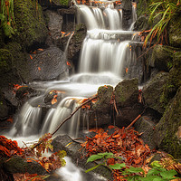 Buy canvas prints of Clyne Gardens waterfall cascade by Leighton Collins