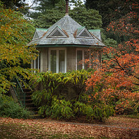 Buy canvas prints of Autumn at Clyne Gardens by Leighton Collins