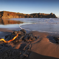 Buy canvas prints of Driftwood at Three Cliffs Bay by Leighton Collins