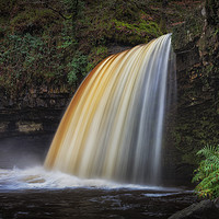 Buy canvas prints of Lady Falls in full flow by Leighton Collins