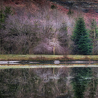 Buy canvas prints of Glyncorrwg ponds South Wales by Leighton Collins