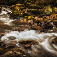 Buy canvas prints of Melincourt Brook riverbed by Leighton Collins