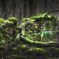 Buy canvas prints of Old moss covered wall by Leighton Collins