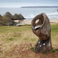Buy canvas prints of Shell Sculpture at Three Cliffs Bay by Leighton Collins