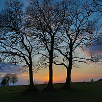 Buy canvas prints of Ravenhill park sunset by Leighton Collins