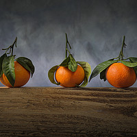 Buy canvas prints of Three satsumas with leaves by Leighton Collins