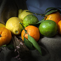 Buy canvas prints of Lemons, limes and satsumas by Leighton Collins